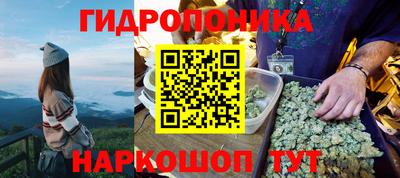 МДПВ Будённовск