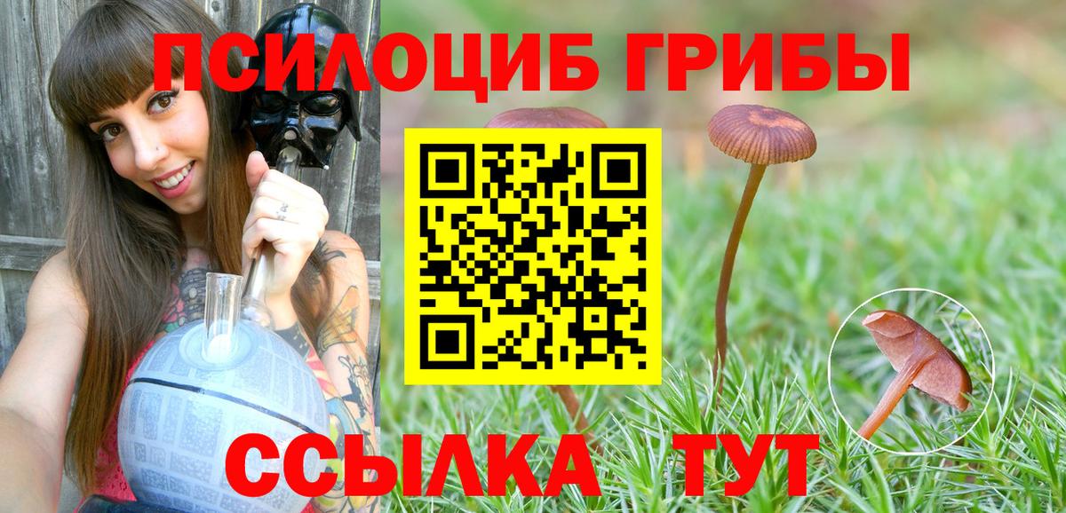 Кумертау  Галлюциногенные грибы прущие грибы  Вход с VPN  Псилоцибиновые грибы мицелий 